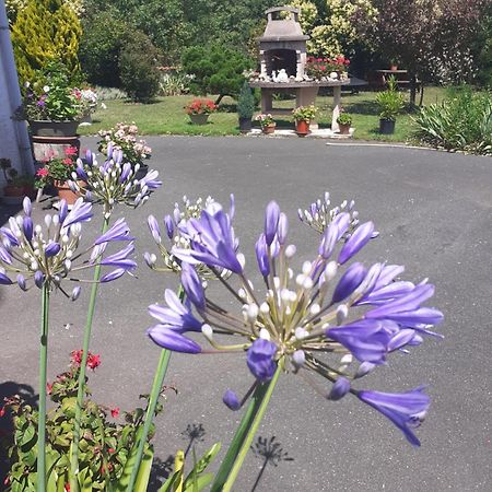 Les Hirondelles Du Paradis 6 Rue Des Oiseaux Bed & Breakfast Beaulieu-sur-Sonnette Dış mekan fotoğraf