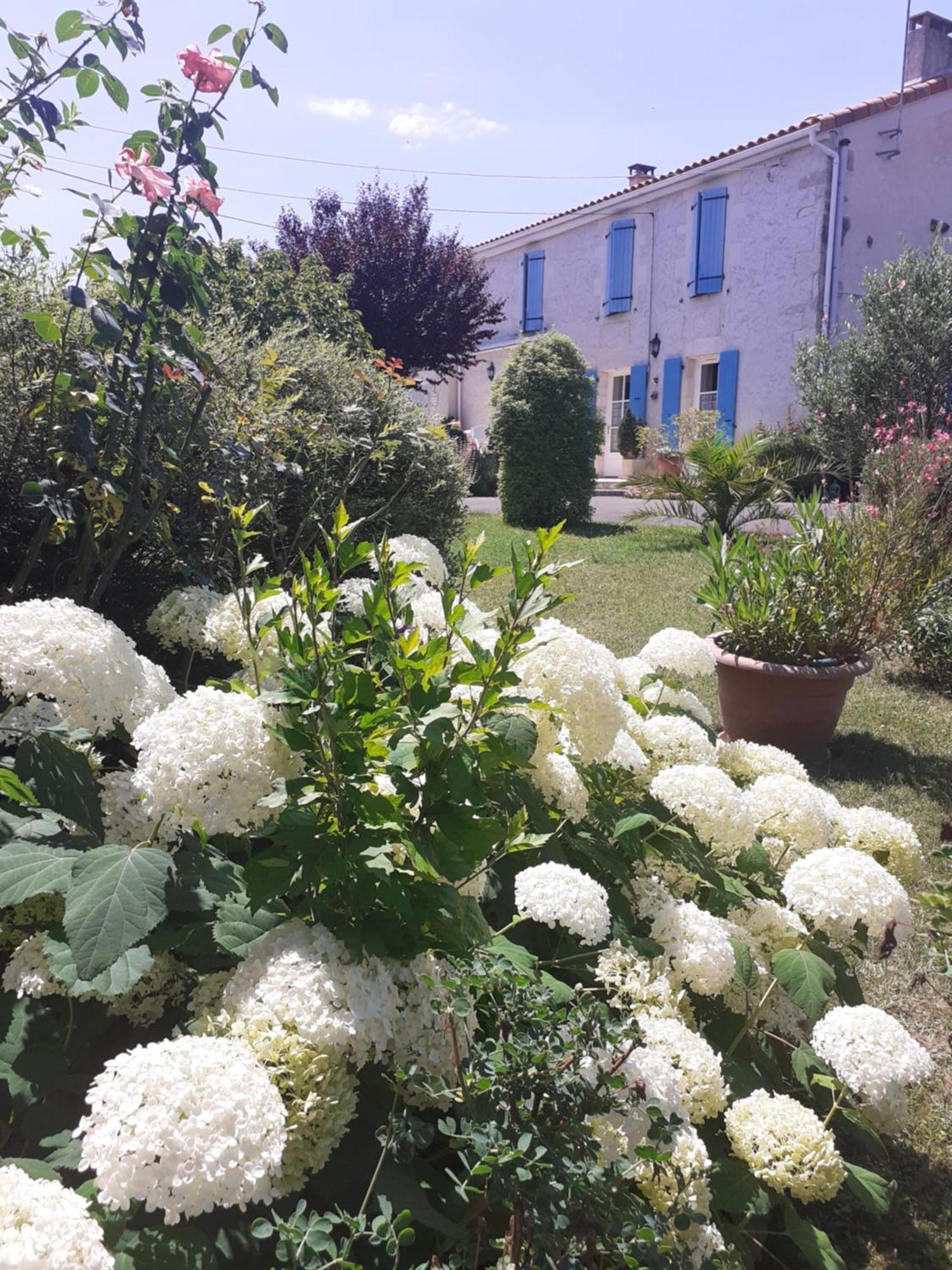 Les Hirondelles Du Paradis 6 Rue Des Oiseaux Bed & Breakfast Beaulieu-sur-Sonnette Dış mekan fotoğraf